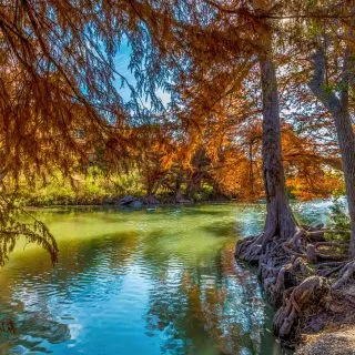 Fall Foliage on Guadalupe State Park near Austin