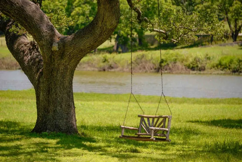 Lady Bird swing in Lyndon B Johnson National Park in Texas