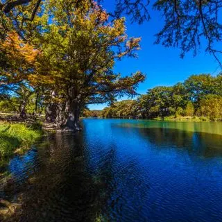 Bright Beautiful Fall Foliage on the Crystal Clear Frio River in Garner state park is one of the best hiking trails in San Antonio