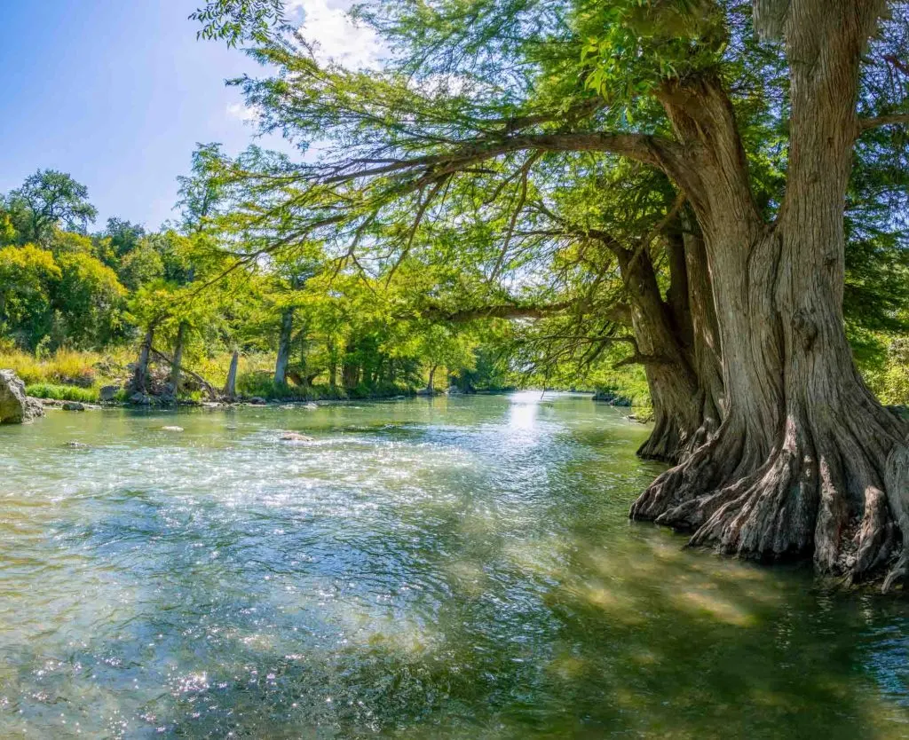 Guadalupe river state park in Texas offers the best hiking in San Antonio
