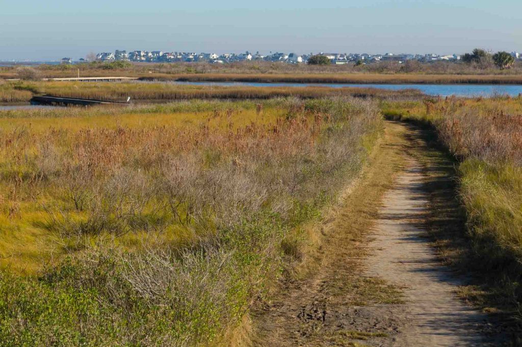 Clapper Rail Trail to Egret Loop to Heron’s Walk Trail offers incredible hiking in Houston