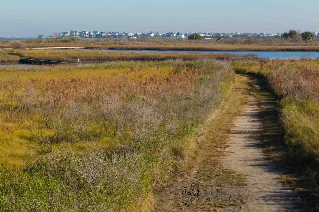 Clapper Rail Trail to Egret Loop to Heron’s Walk Trail offers incredible hiking in Houston
