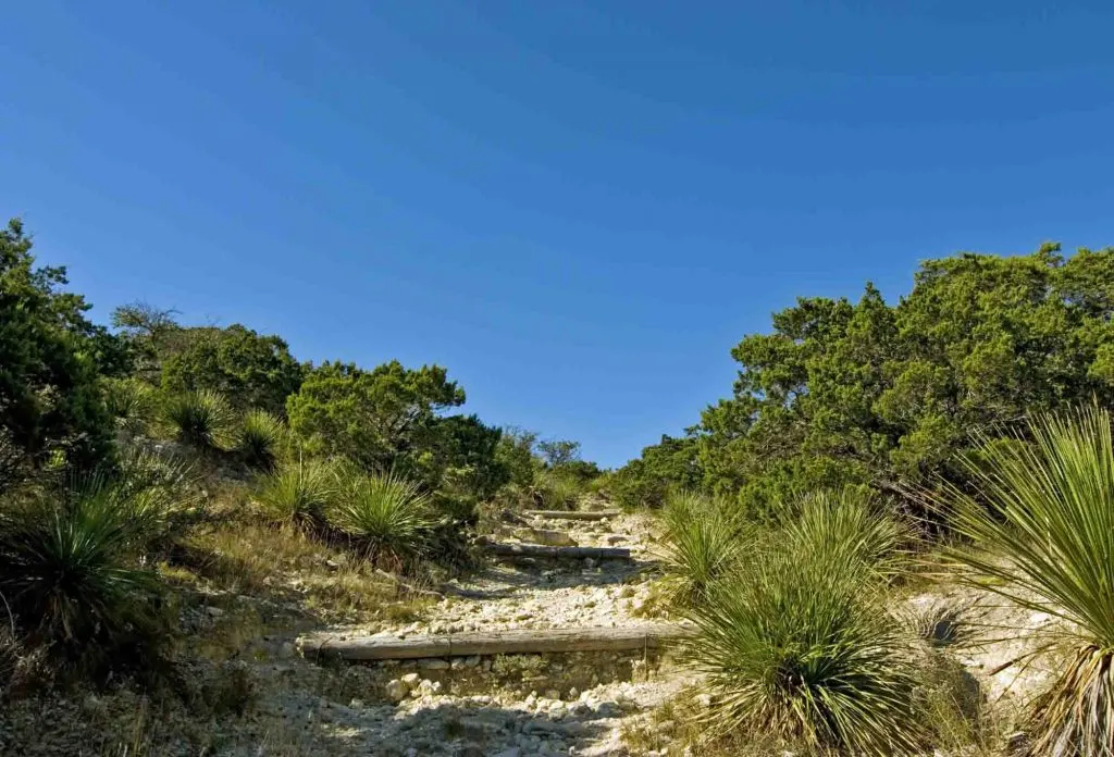 Hill Country State Natural Area has some of the best hiking in San Antonio, Texas