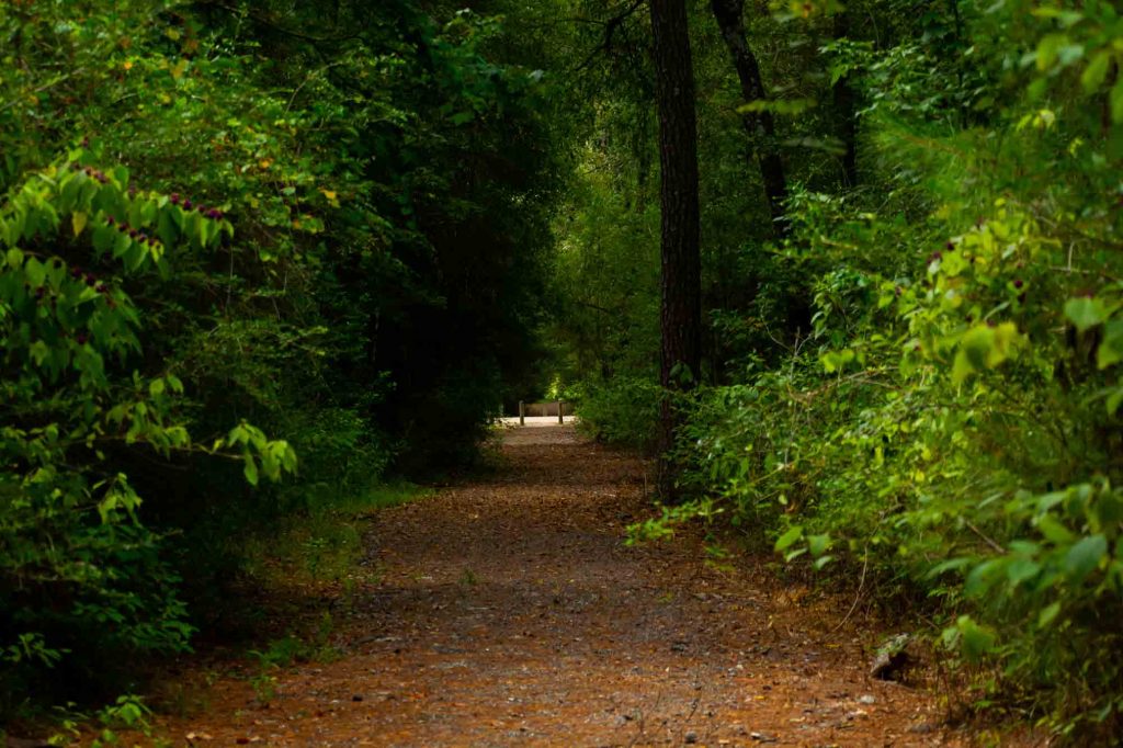 Peach Creek Trail is one of the best trails for hiking in Houston