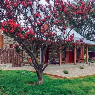 Romantic cabin in Fredericksburg TX