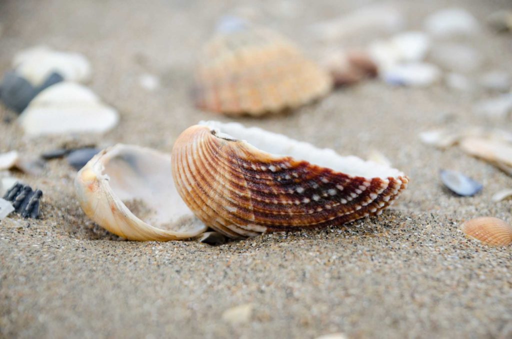 Potters Creek Park Beach is one of the best beaches in Texas