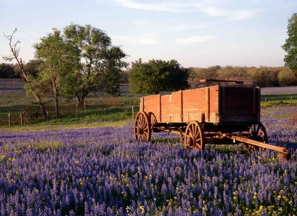 Pedernales Cellars is one of the best Wineries in Fredericksburg, TX