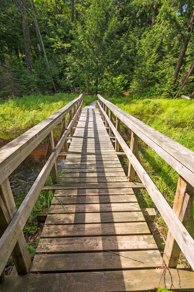 Sundew Trail is one of the best trails for hiking in Houston