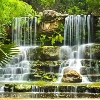 Waterfall in Zilker Botanical Park, Austin, Texas