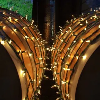 Wine Trail during Christmas in Fredericksburg