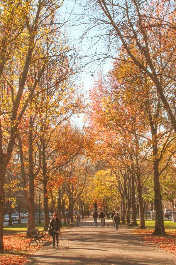 Boston, Massachusetts is one of the best fall vacations in the USA