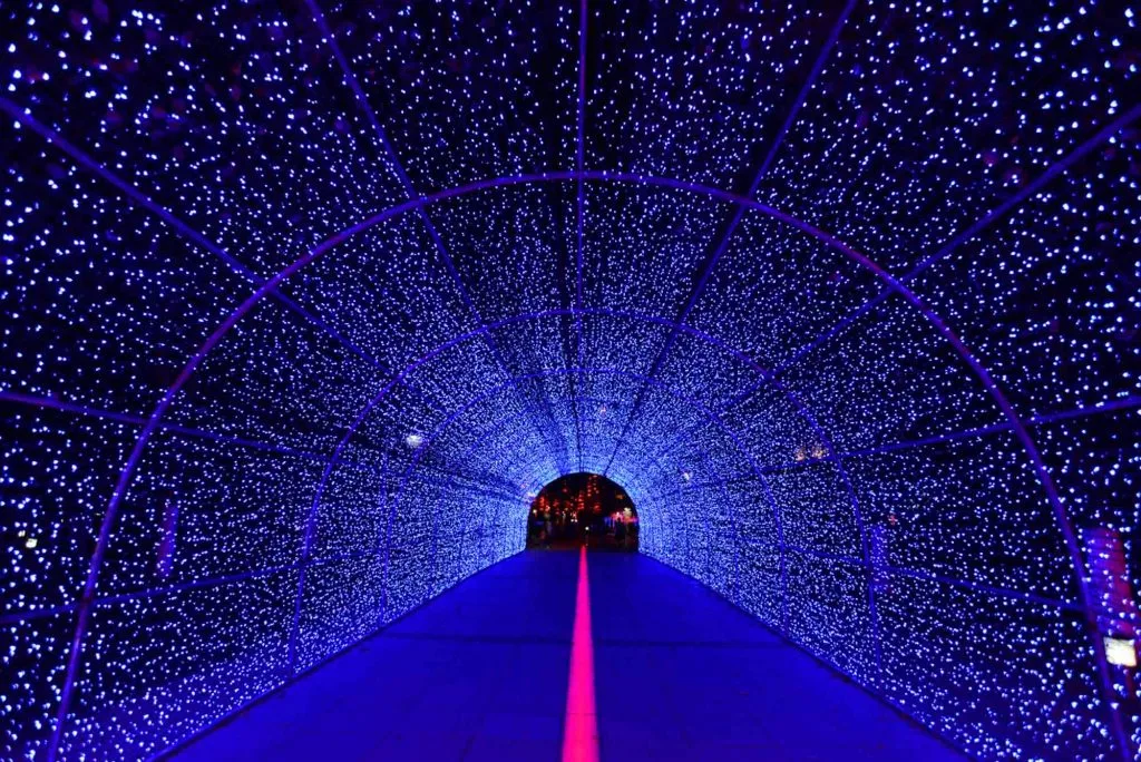 Driving Through the World’s Largest Christmas Light Tunnel at Prairie Lights is one of the things to do at Christmas in Dallas