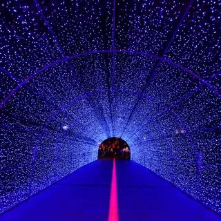 Dallas is one of the best places to visit during Christmas in Texas