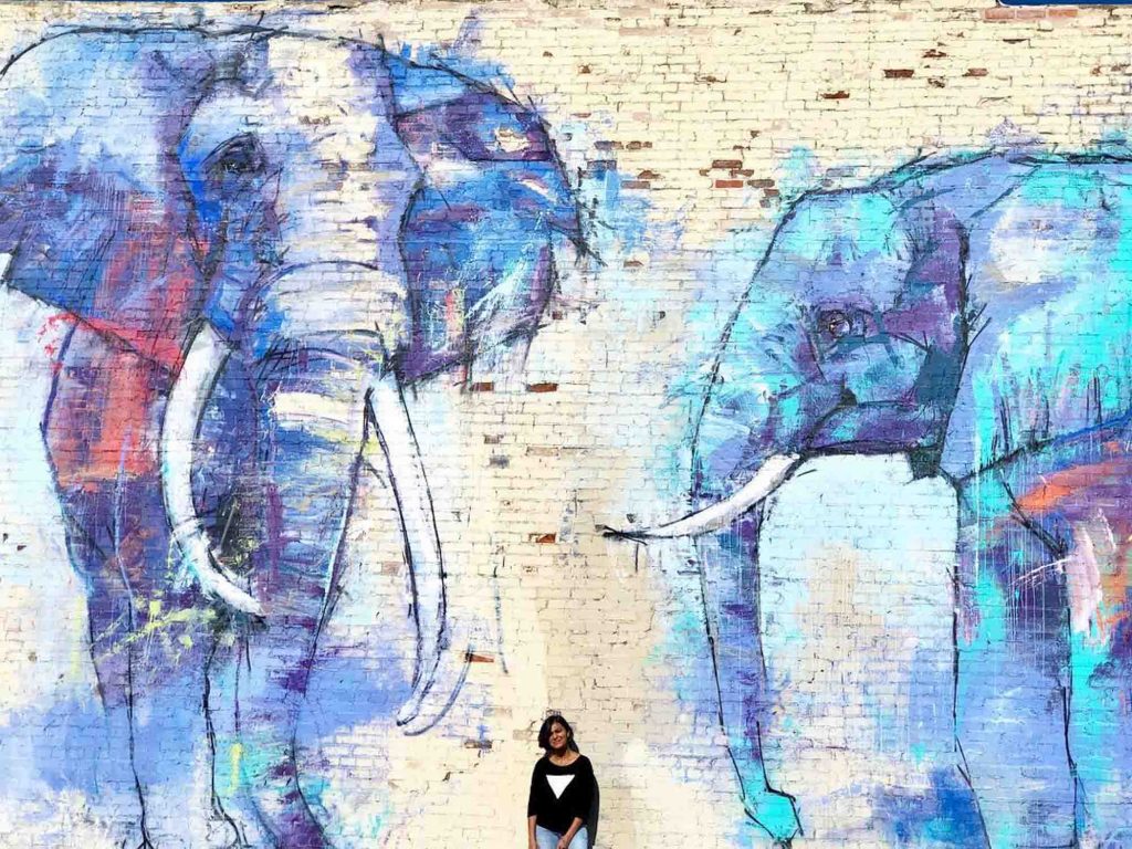 Deep Ellumphants mural is one of the famous Dallas Murals