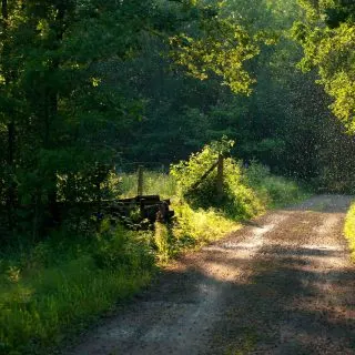 Boulder Park Trail is one of the best hiking trails in Dallas