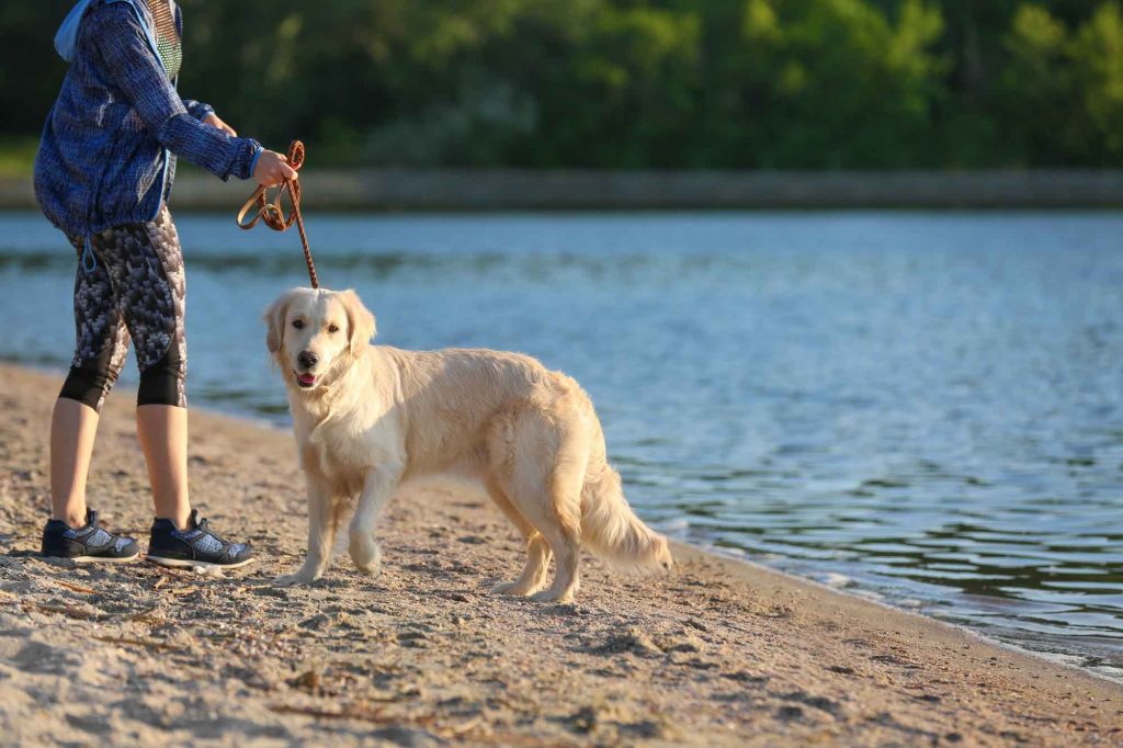 The secret beach at Roy Guerrero Park is one of the best beaches near Austin