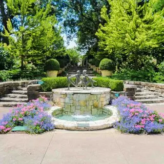 Roaming the Dallas Arboretum & Botanical Garden is one of the cool things to do in Dallas