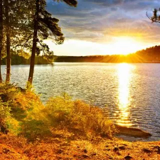 Sheldon Lake State Park is one of the state parks near Houston