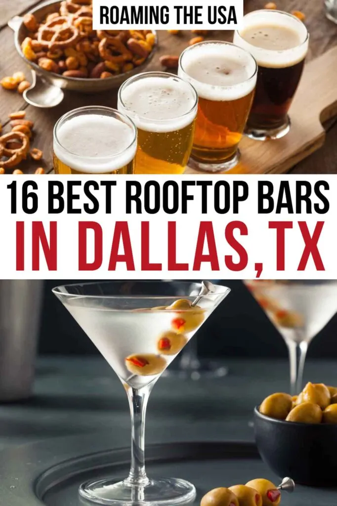 Best Rooftop Bars in Dallas Pinterest graphic