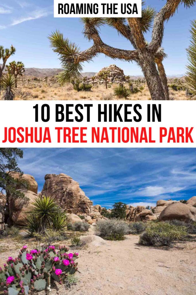 Best Hikes in Joshua Tree National Park Pinterest Graphic