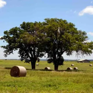 Lyndon B. Johnson National Historical Park is one of the top national parks in Texas