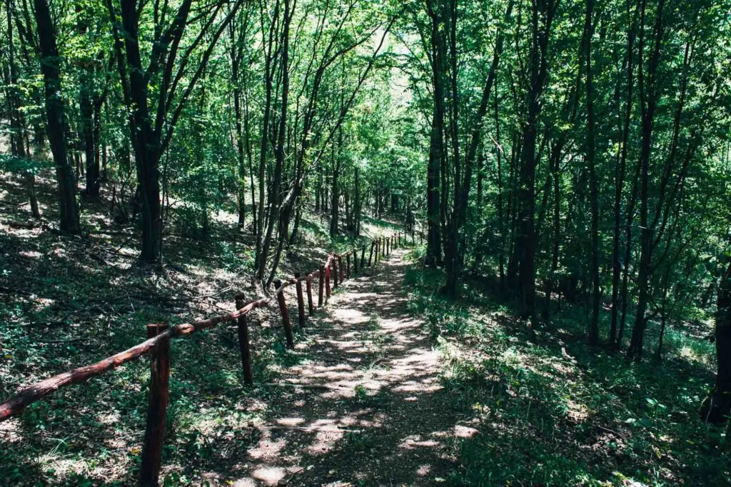 El Camino Real de los Tejas is one of the top national parks in Texas