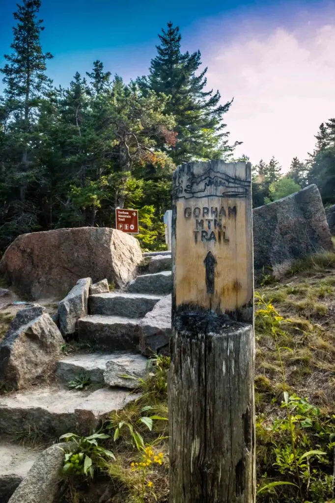 Gorham Mountain Loop is one of the best hikes in Acadia National Park