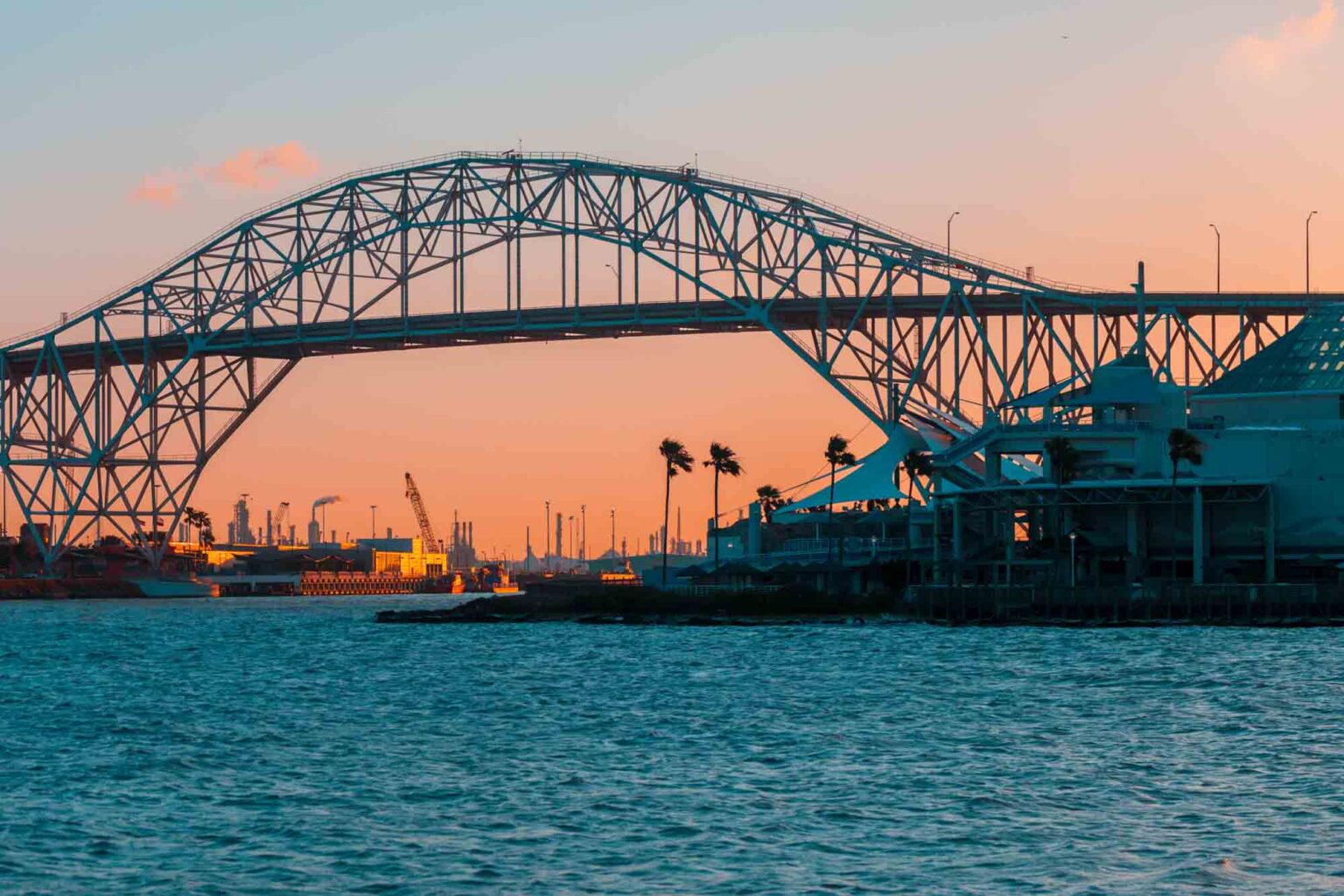 texas a&m corpus christi tours