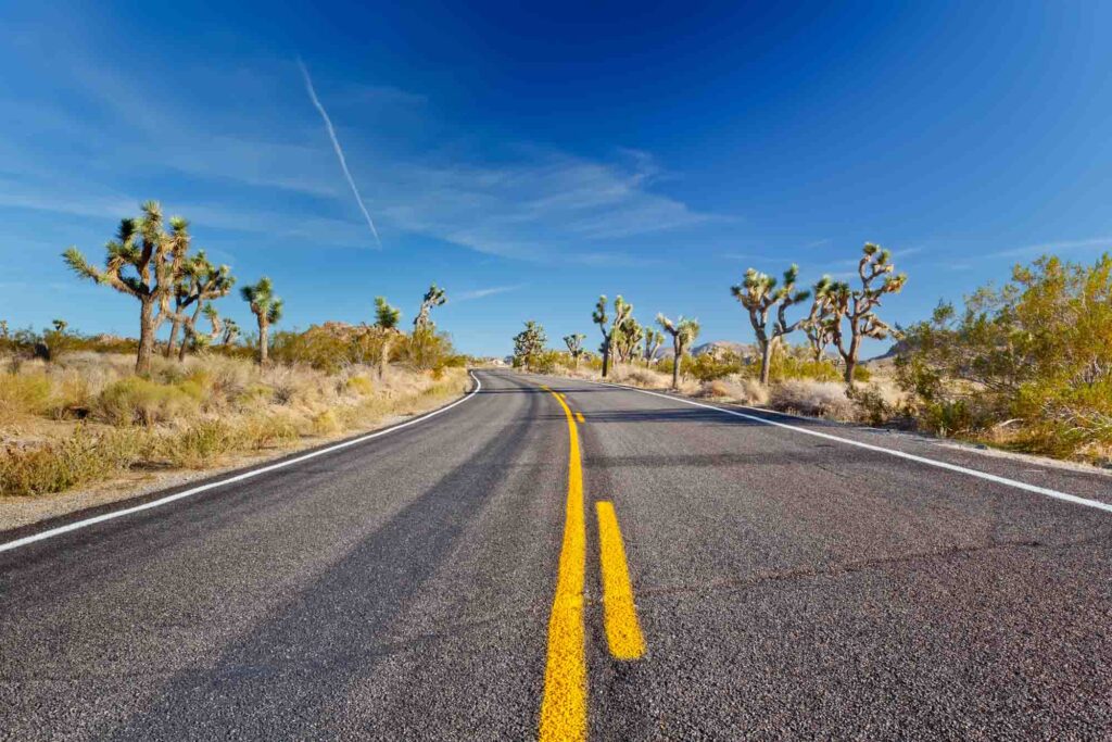 Joshua Tree National Park, Mojave Desert, is one of the best road trips in California
