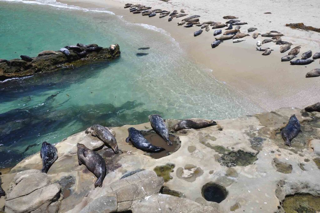 La Jolla, California is one of the best spring break destinations in the US