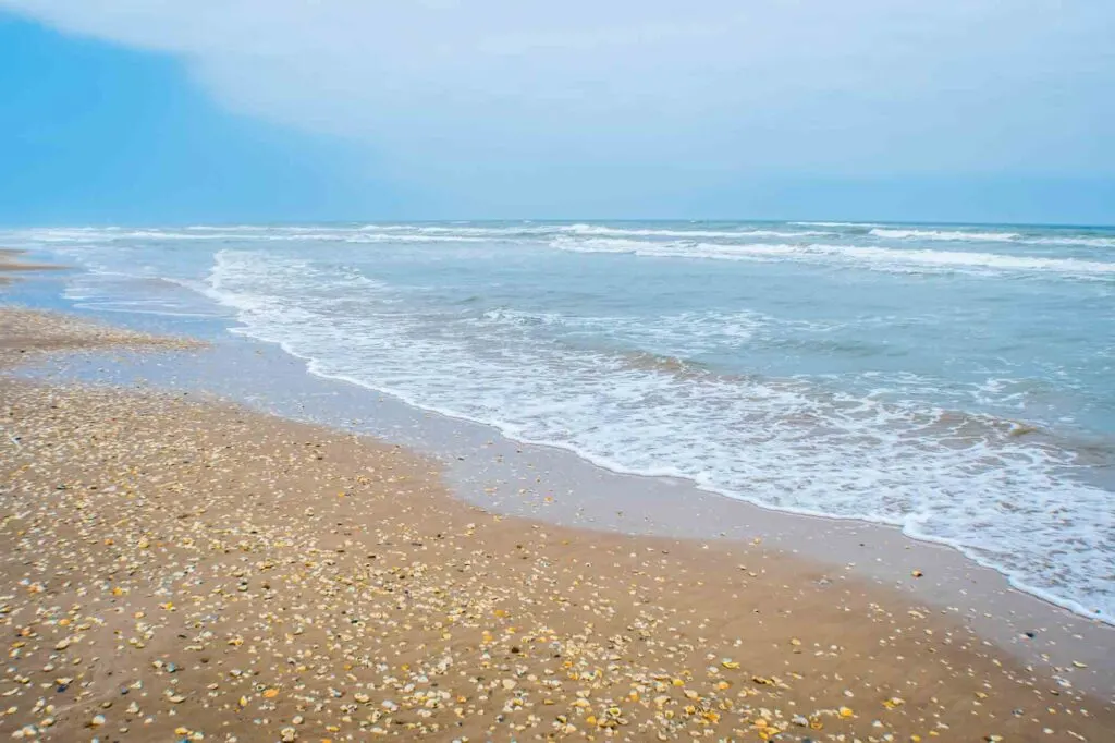 Learning about the Barrier Island Ecosystem at the Coastal Studies Laboratory is one of the best things to do on South Padre Island, TX