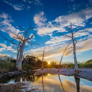 Going for a Scenic Drive Along River Road is one of the best things to do in Canyon Lake, Texas