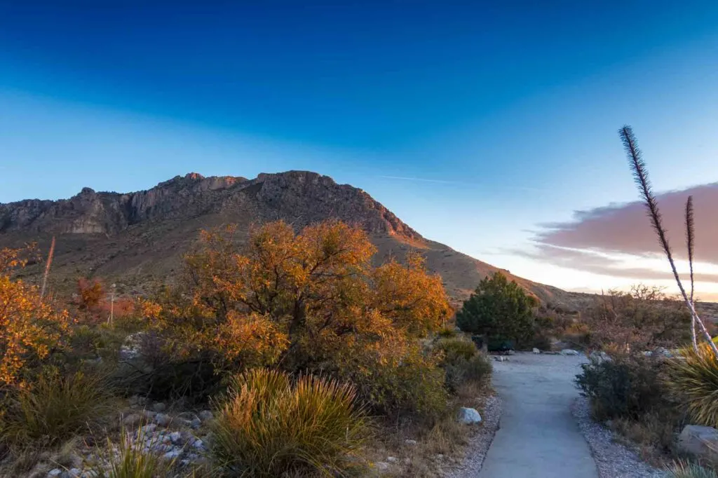 Guadalupe Mountains National Park is one of the places to see fall foliage in Texas