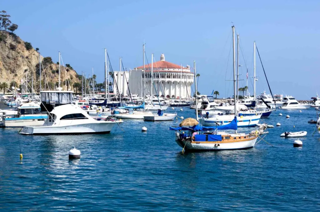 Santa Catalina Island in California is one of the best summer vacations in the USA