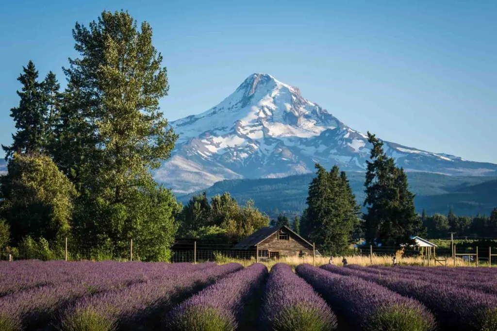 Hood River, Oregon is one of the most romantic getaways in the United States for couples