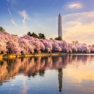 Washington, D.C. is one of the most romantic getaways in the United States