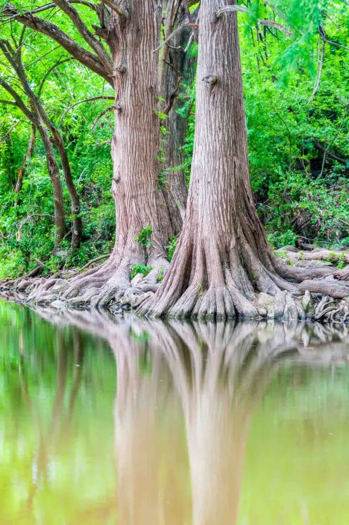 Geting some fresh air at Cypress Creek Nature Preserve is one of the best things to do in Wimberley, TX