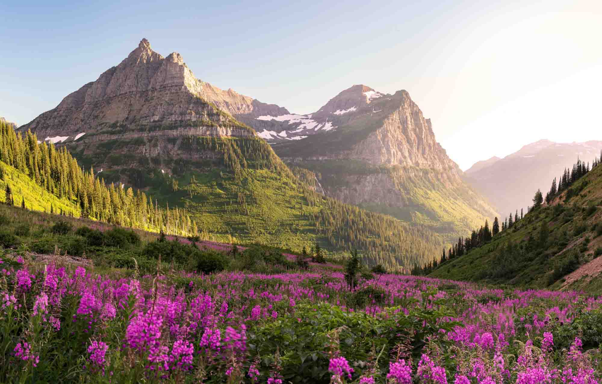 Top 10+ Things to do at glacier national park