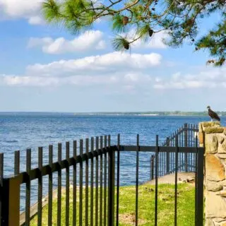 Taking a dip at Lake Conroe Park is one of the fun things to do in Conroe, TX