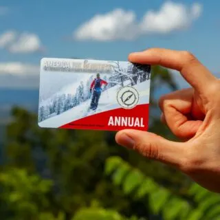 America the Beautiful Pass
