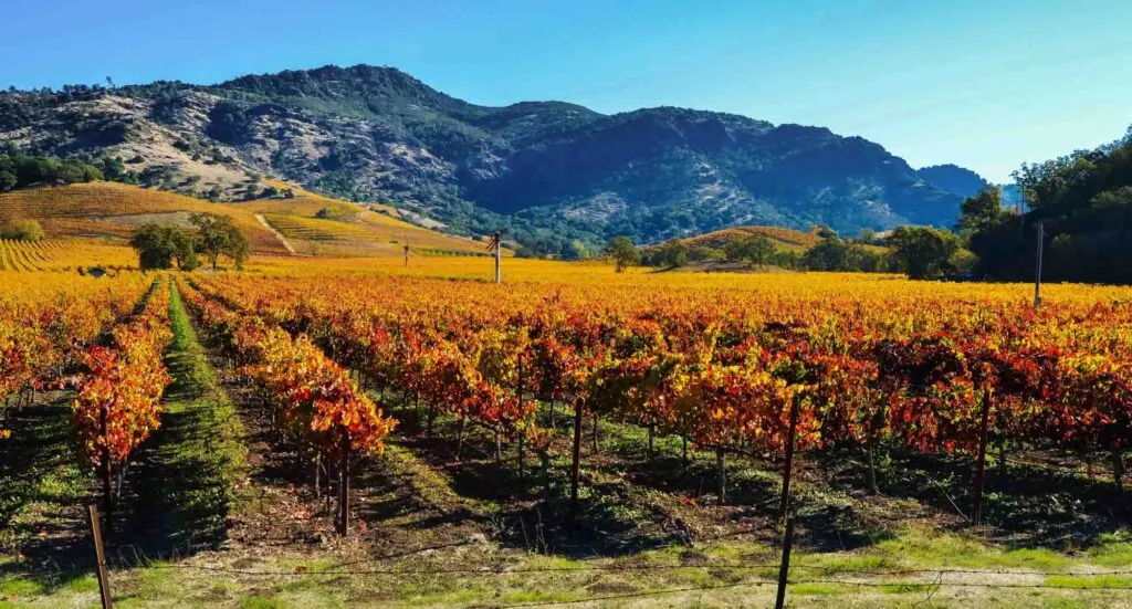 Napa Valley is one of the best places to visit in November in the USA