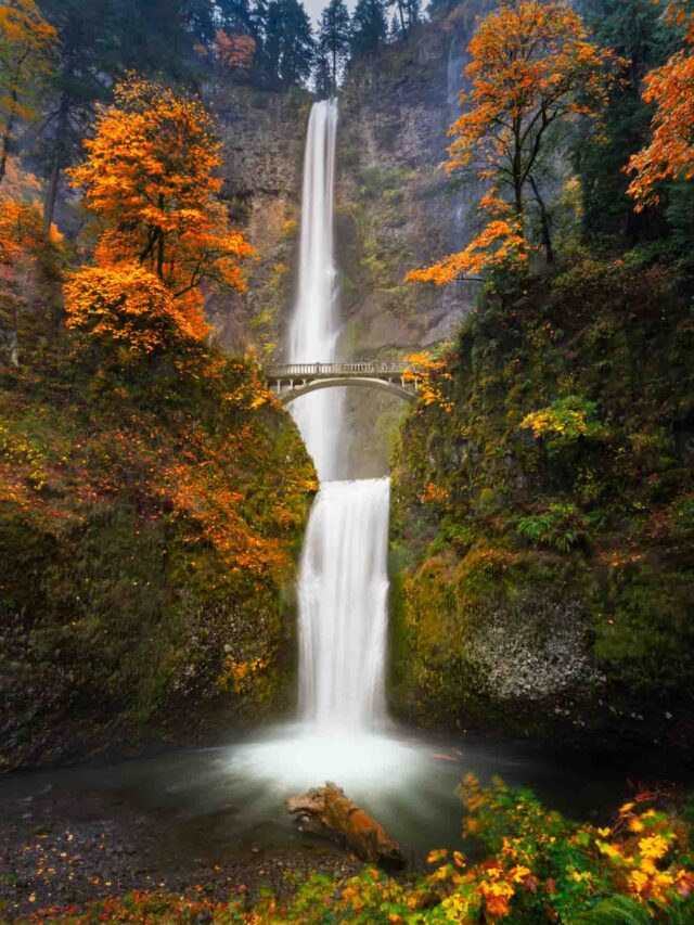 Fall foliage in Multnomah Falls in Oregon