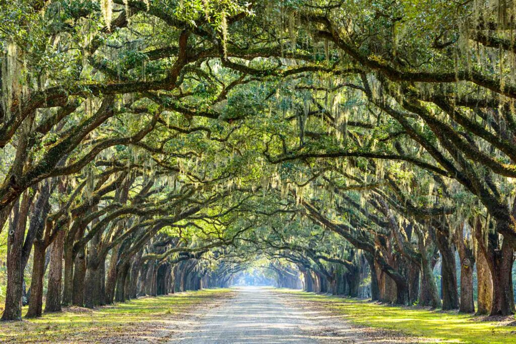 Savannah, Georgia is one of the best places to visit in the South, USA