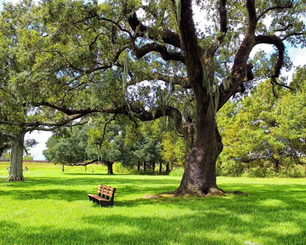 Jean Lafitte National Historical Park and Preserve is one of the National Parks in Louisiana