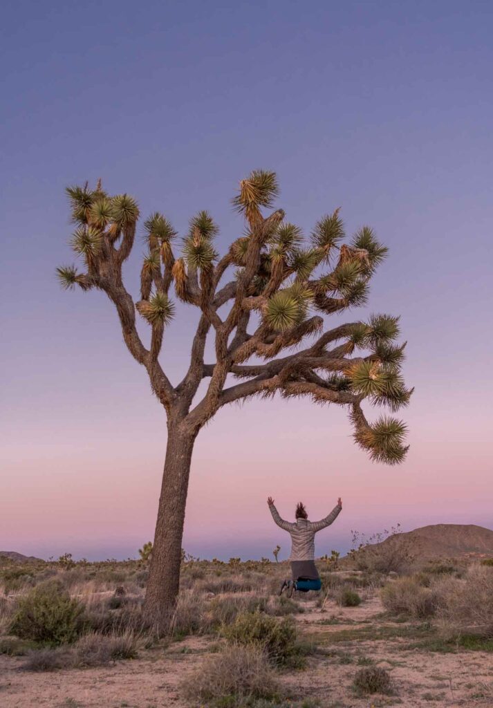 Joshua Tree National Park is one of the best places to visit in December in the USA