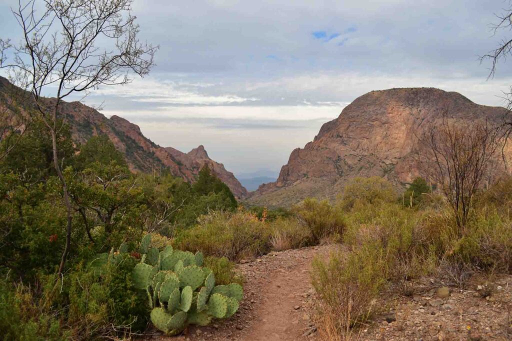 Emory Peak is one of the best hikes in Texas