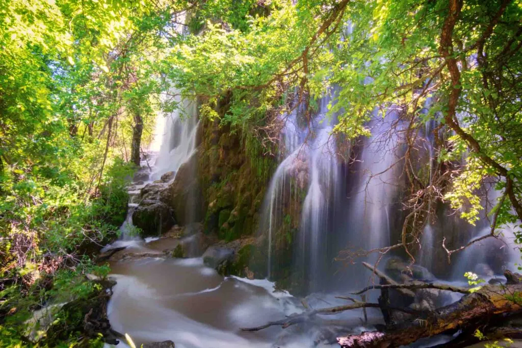 The magical  Gorman Falls is one of the best Waterfalls in Texas to Visit this Summer