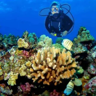 Scuba diving in Kona!
