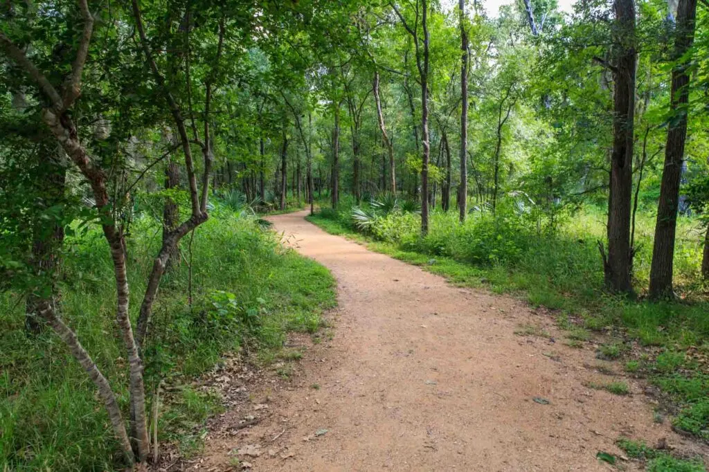 San Marcos River, Mesquite Flats, and Ottine Swamp is one of the best hikes in Texas