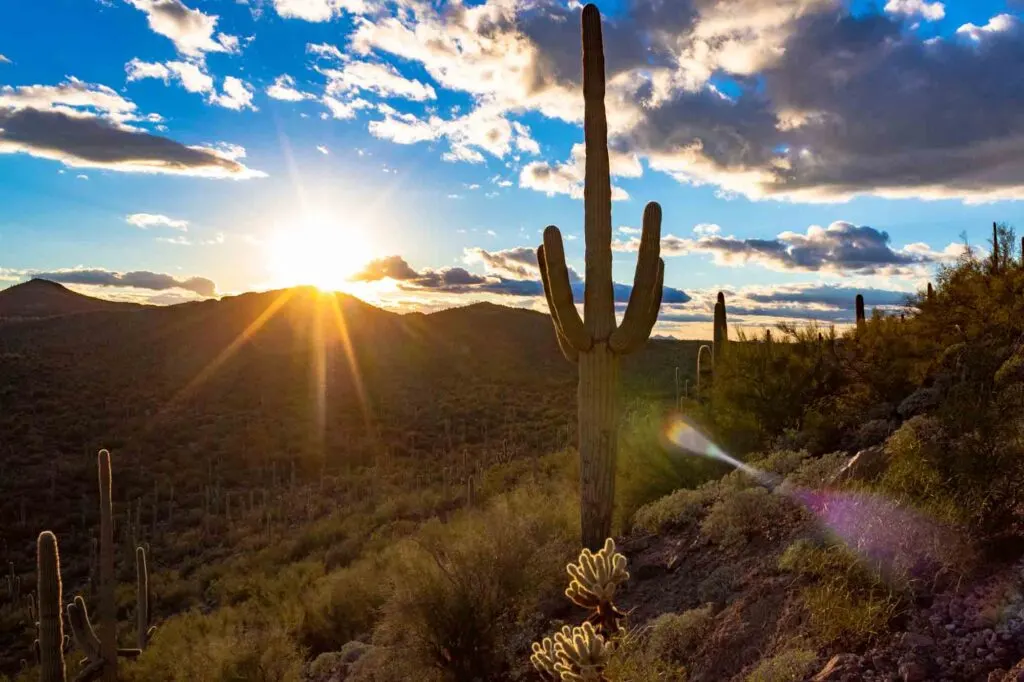 Tucson is one of the best places to visit in January in the USA